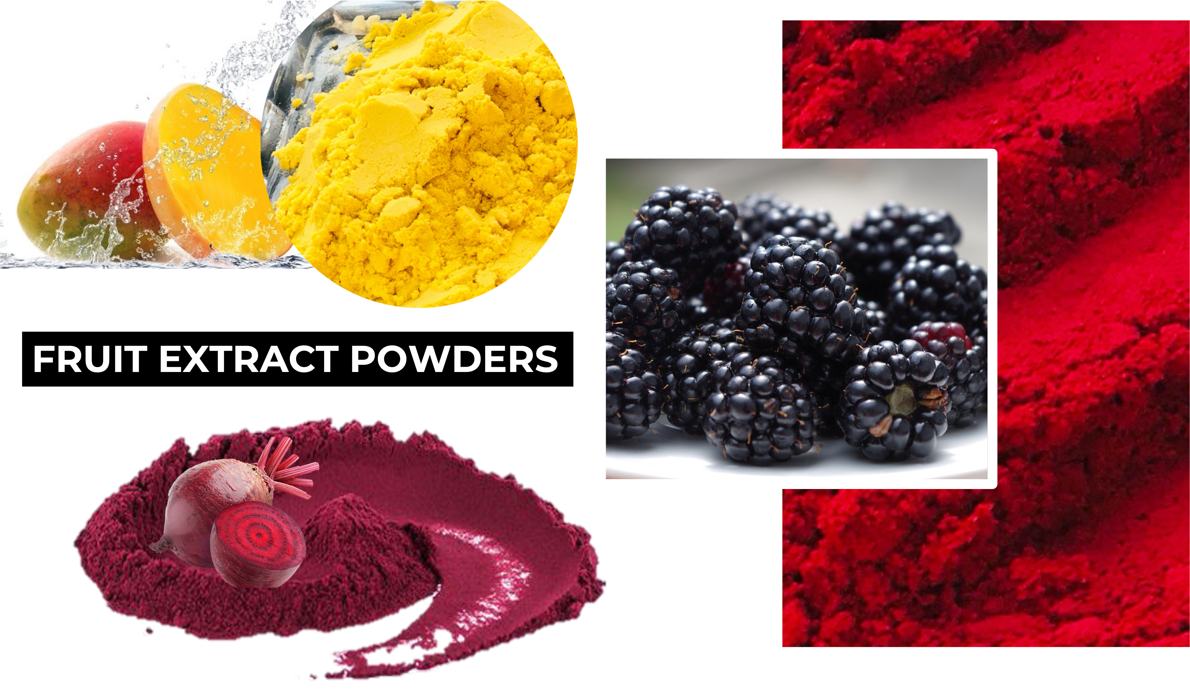 Fruit  Extracts Powders